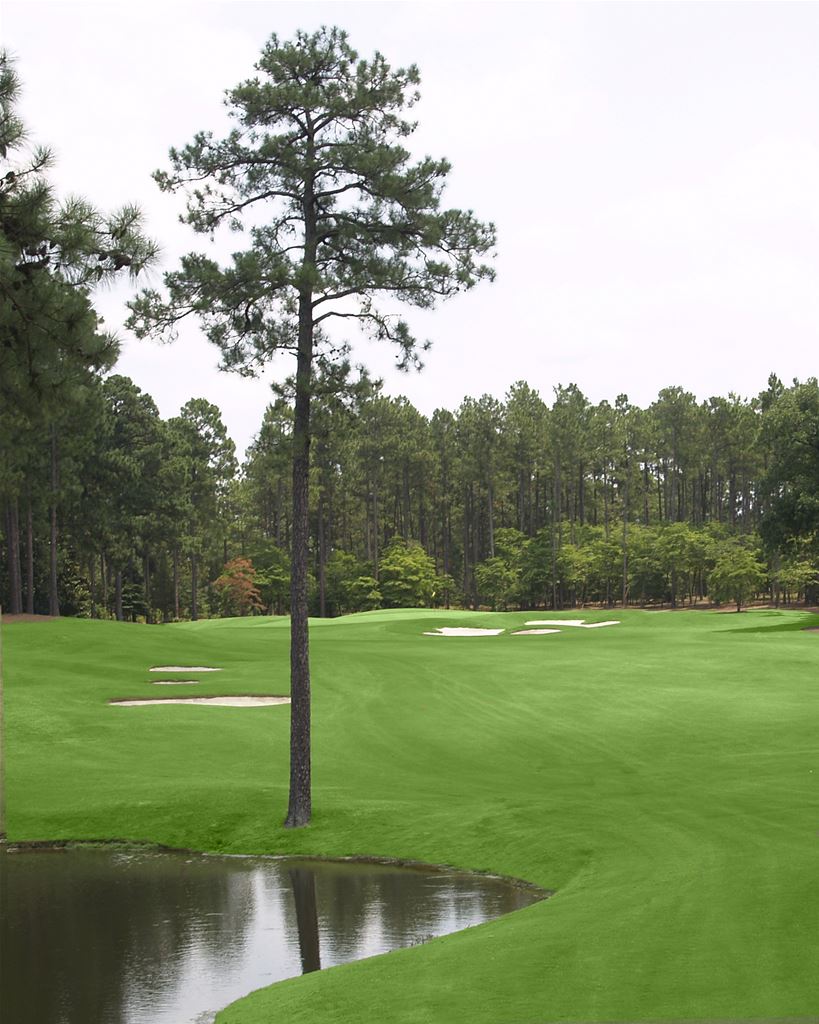 Pinewild Magnolia Course